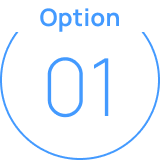 Option 01